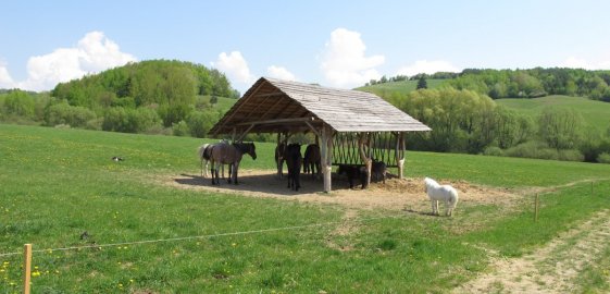 Koliba Papradno Relax