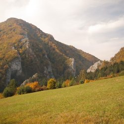 Národná prírodná rezervácia Manínska tiesňava