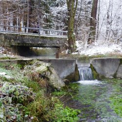 Národná prírodná rezervácia Manínska tiesňava