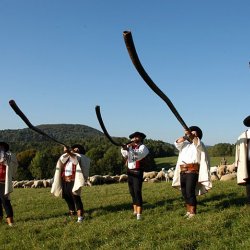 Salaš Nimnica