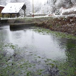 Národná prírodná rezervácia Manínska tiesňava