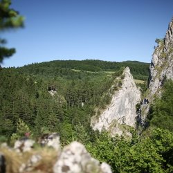 Národná prírodná rezervácia Manínska tiesňava