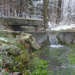 Národná prírodná rezervácia Manínska tiesňava